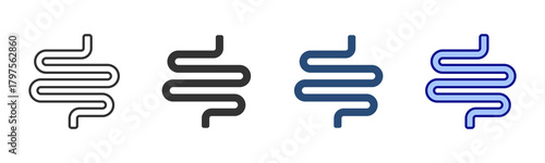 Intestine Icon Set. Designed In Multi Style