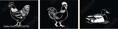 A black and white illustration of a rooster, another rooster, and a duck on a transparent background