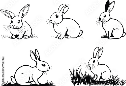 Five rabbits in various poses on a transparent background