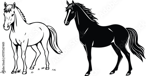 Two horses, one white and one black, standing in profile on a transparent background