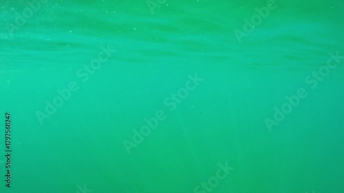Calm and tranquil underwater background with the surface of the green water shimmering as gentle sun rays penetrate the murky depths, creating a mysterious and serene atmosphere