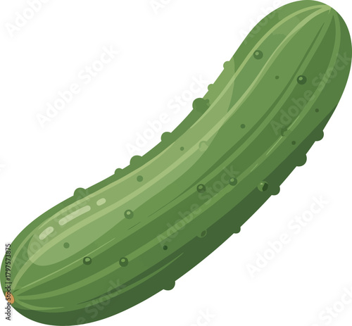 Fresh cucumber vector silhouette, half, chopped, slices and cucumbers, cucumber vector icon, green ripe cucumber vector illustration