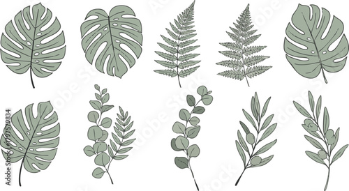 Assortment of tropical and temperate foliage illustrations displayed against a plain white background