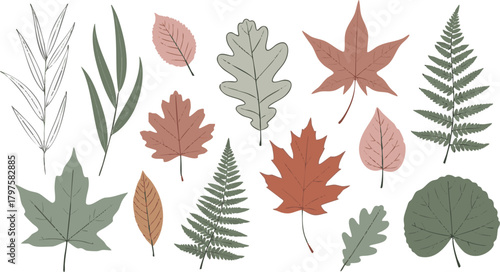 Assortment of diverse botanical foliage illustrations featuring various shapes and muted colors