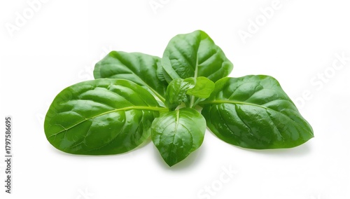 Baby spinach leaves on a wh...