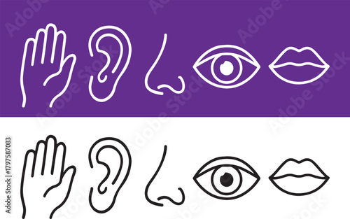 Illustrations of human senses sight sound touch smell and taste depicted