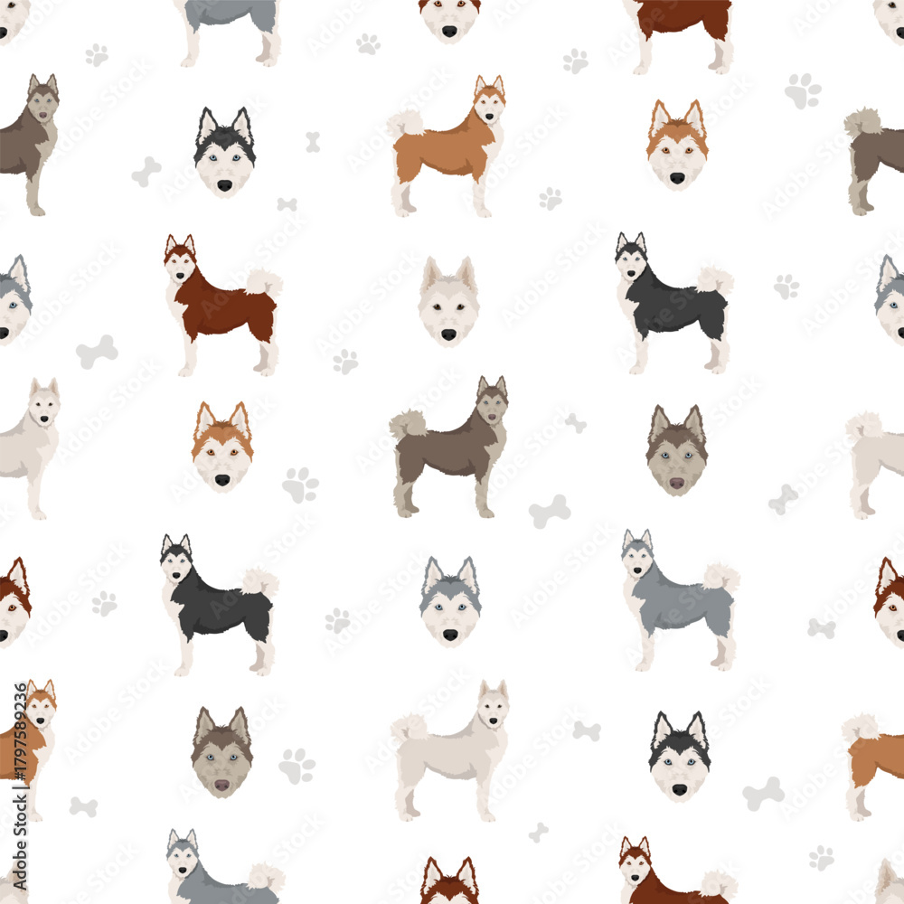 Fototapeta premium Siberpoo dog. Husky doodle clipart. Siberian husky Poodle mix. Different coat colors set. Vector illustration