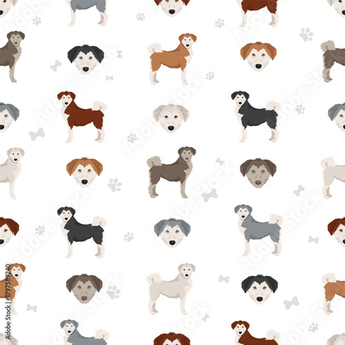 Siberpoo dog. Husky doodle clipart. Siberian husky Poodle mix. Different coat colors set.  Vector illustration