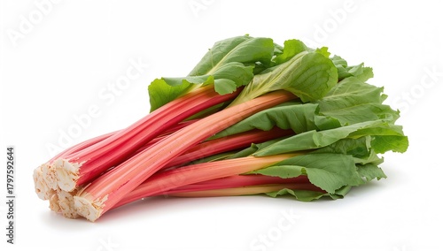 Freshly Harvested Red Rhuba...