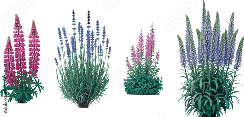 Flowering plant illustration set, stylized botanical vector, pink and purple blossoms, garden foliage, nature clipart, landscape design elements, isolated on white