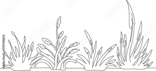 Grass and reed illustration set, stylized botanical line drawing, black-and-white nature vector, educational plant clipart, isolated on white