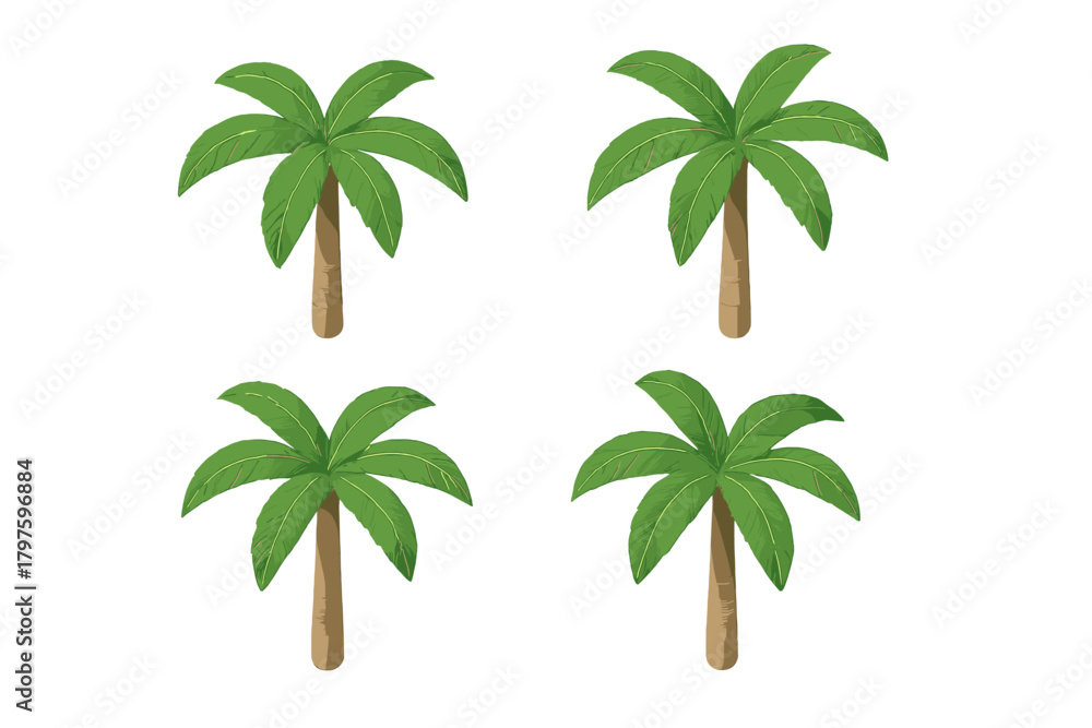 Obraz premium Four isometric palm trees with lush green fronds and textured brown trunks isolated on white