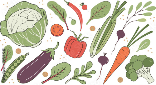 Watercolor painted collection of vegetables. Fresh colorful veggies background. A detailed watercolor illustration featuring a variety of fresh vegetables arranged separately on a clean white backgrou