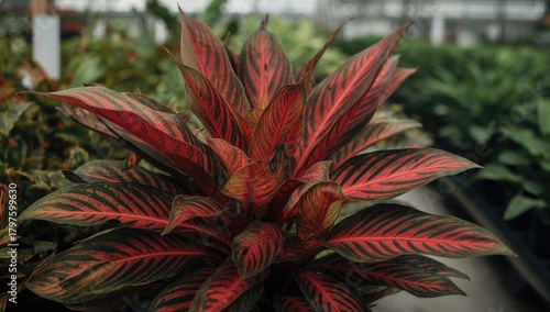Vibrant foliage and intrica...