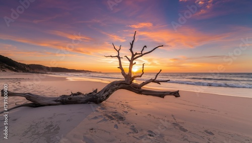 Sunset over the beach with ...