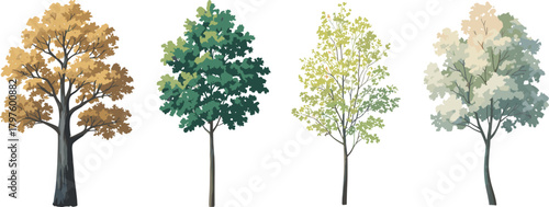 Seasonal deciduous tree illustration set, stylized botanical vector, spring summer autumn winter foliage, nature clipart, landscape design elements, isolated