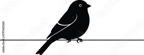 Black silhouette of a small bird perched on a thin horizontal line white