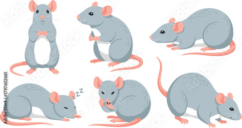 Cute gray cartoon mice in different poses, adorable pet rat illustration collection, domestic rodents, vector animal set for education and design