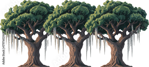 Tree illustration set, stylized botanical vector, dense green foliage and hanging moss, nature clipart, forest design elements, isolated on whiteTree illustration set, stylized botanical vector, dense