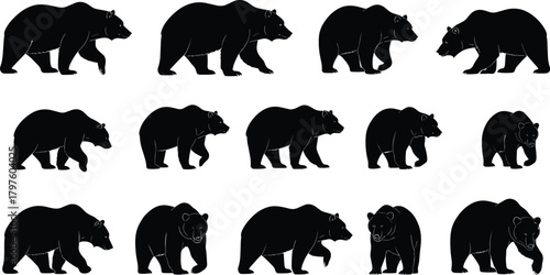PrintBlack bear silhouette collection showing walking and standing poses, wildlife animal illustration set for nature, forest, outdoor design and creative artwork