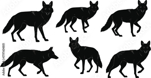 PrintBlack wolf illustrations in multiple standing and walking poses, detailed silhouette artwork showcasing wild animal behavior, wildlife design elements for graphic use