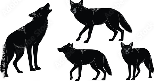 PrintBlack wolf illustrations in multiple poses showcasing detailed fur texture, wild animal behavior, silhouette art style, predator posture, wildlife graphic elements