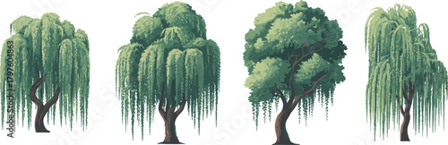 Willow tree illustration set, stylized botanical vector, drooping branches and green foliage, nature clipart, landscape design elements, isolated on white