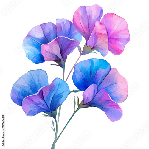 watercolor of Garden Pea Flower, vector, isolated on a white background.