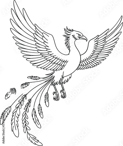 Elegant outline drawing of a mythical phoenix bird in flight with spread wings and long tail feathers