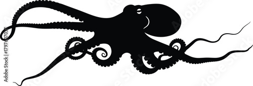 Black silhouette of an octopus with swirling tentacles on white background cephalopod