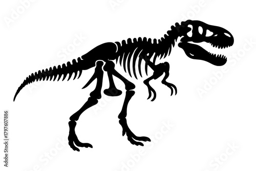 Prehistoric Tyrannosaurus Rex dinosaur skeleton silhouette isolated on white