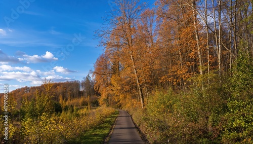 Tranquil pathway flanked by...