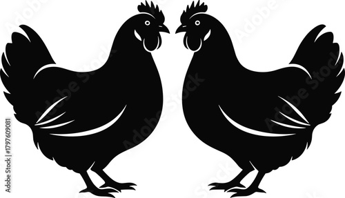 Two black chickens facing each other on a white background vector graphic fowl poultry