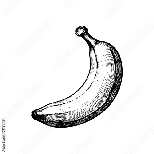 Vintage Hand Drawn Banana Sketch