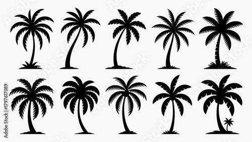 Collection of diverse black palm tree silhouettes with varying shapes and styles, perfect for tropical designs, summer themes, and exotic vacation concepts.