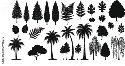 PrintLarge collection of various tree and leaf silhouettes including palm trees, evergreen trees, fern leaves, botanical foliage, perfect for nature vector design elements