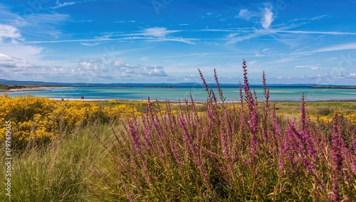 Views of Breakwater Park fe...