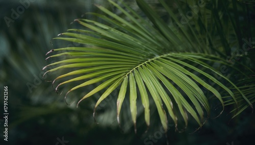 Palm tree leaf in vibrant g...