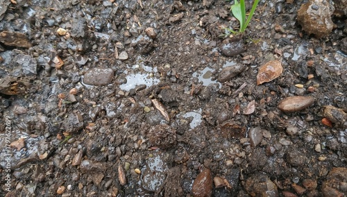 Soil surface texture, erosi...