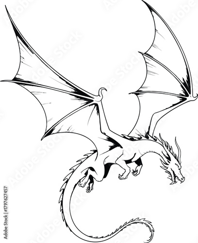 Majestic winged dragon in flight black and white illustration