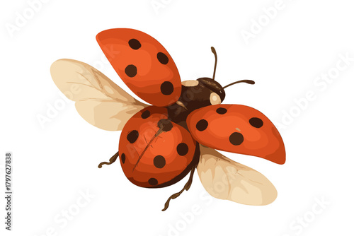 Vibrant ladybug beetle with open wings hovering against a clean white backdrop