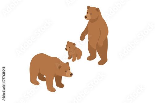 Isometric brown bear family group with two adults and a small cub in various poses
