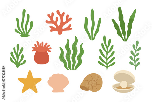 Colorful collection of underwater marine life elements including coral, starfish, shells, and seaweed