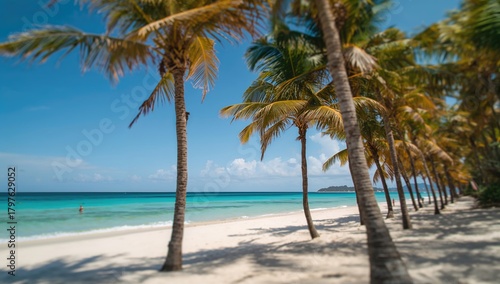 Palm-fringed shoreline, a s...