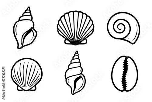 Collection of sea shells and spiral conch shells in black outline style