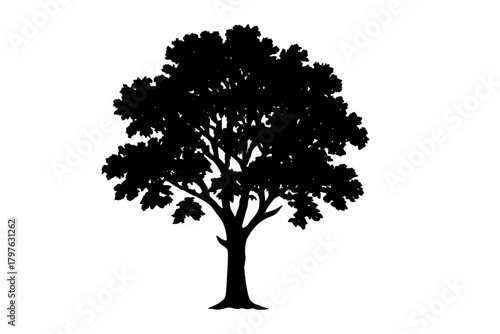 Detailed black silhouette of a mature deciduous tree with dense foliage and visible trunk isolated on white