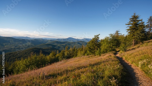 Scenic Mountain Views Durin...