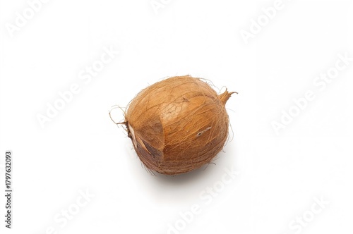 Single coconut on a plain w...