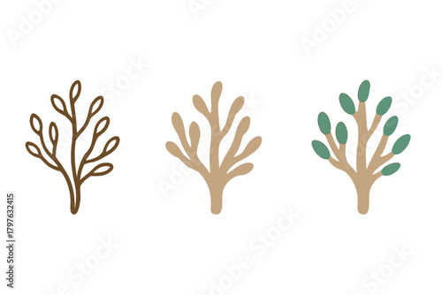 Three trees are drawn in different stages of growth. The first tree is a small, thin tree with no leaves. The second tree is a larger tree with a few leaves