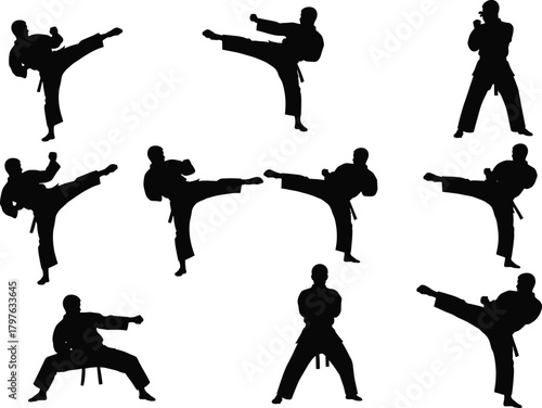Martial arts silhouette set featuring dynamic karate and taekwondo poses, high kicks, punches, and traditional uniform stances for vector design.